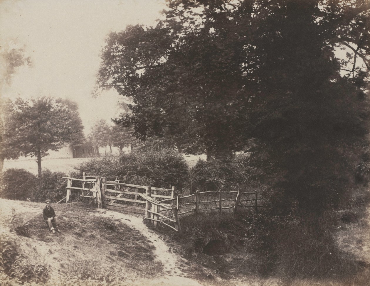 Gröna ängar, 1854. av George Shadbolt