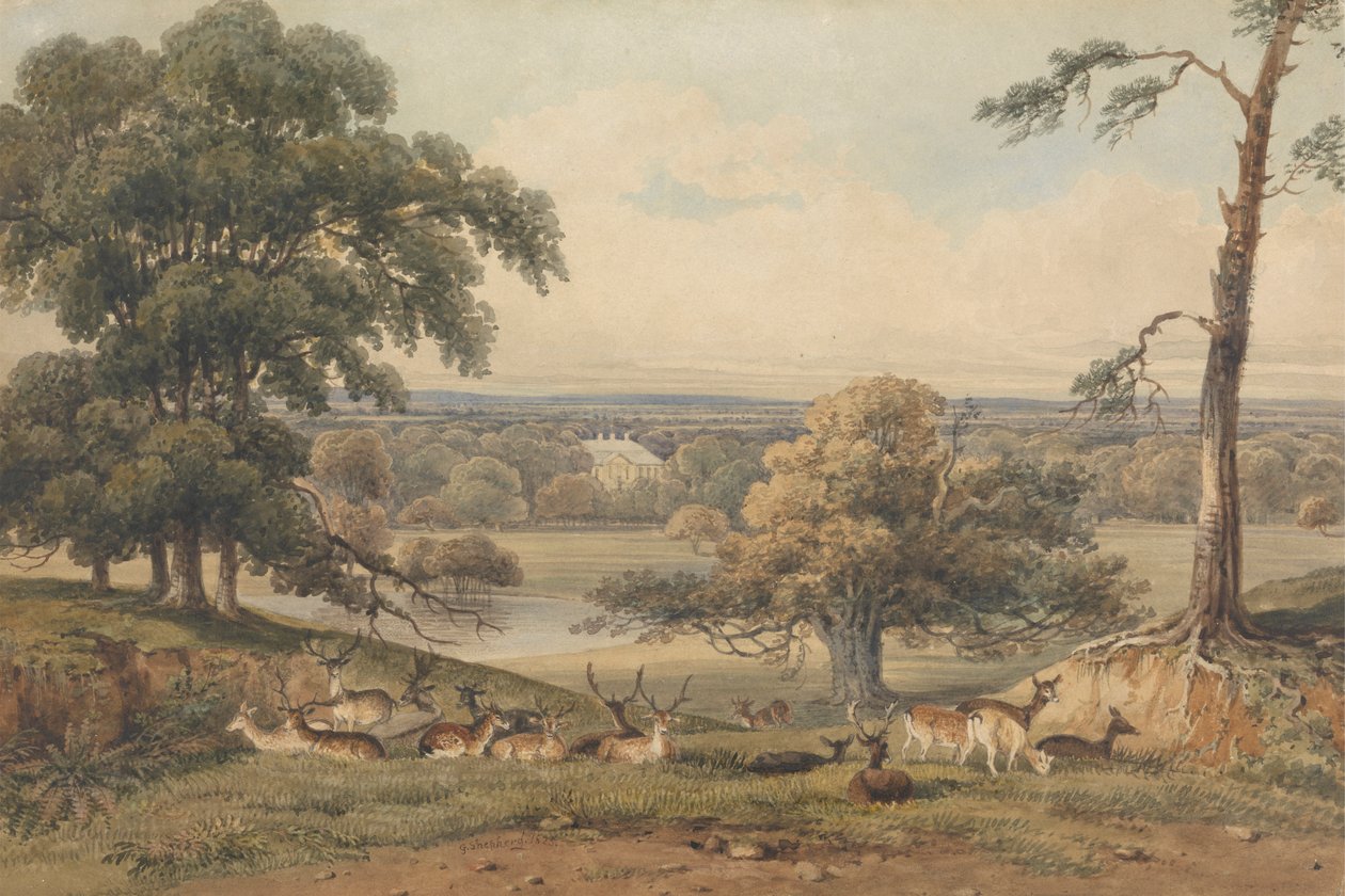 swedish av George Shepherd