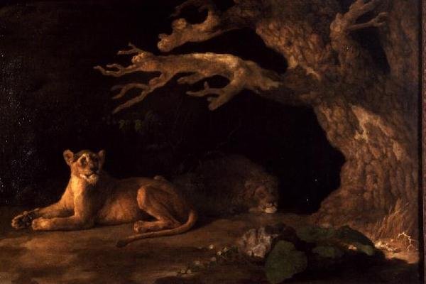 Ett lejon och en lejoninna av George Stubbs