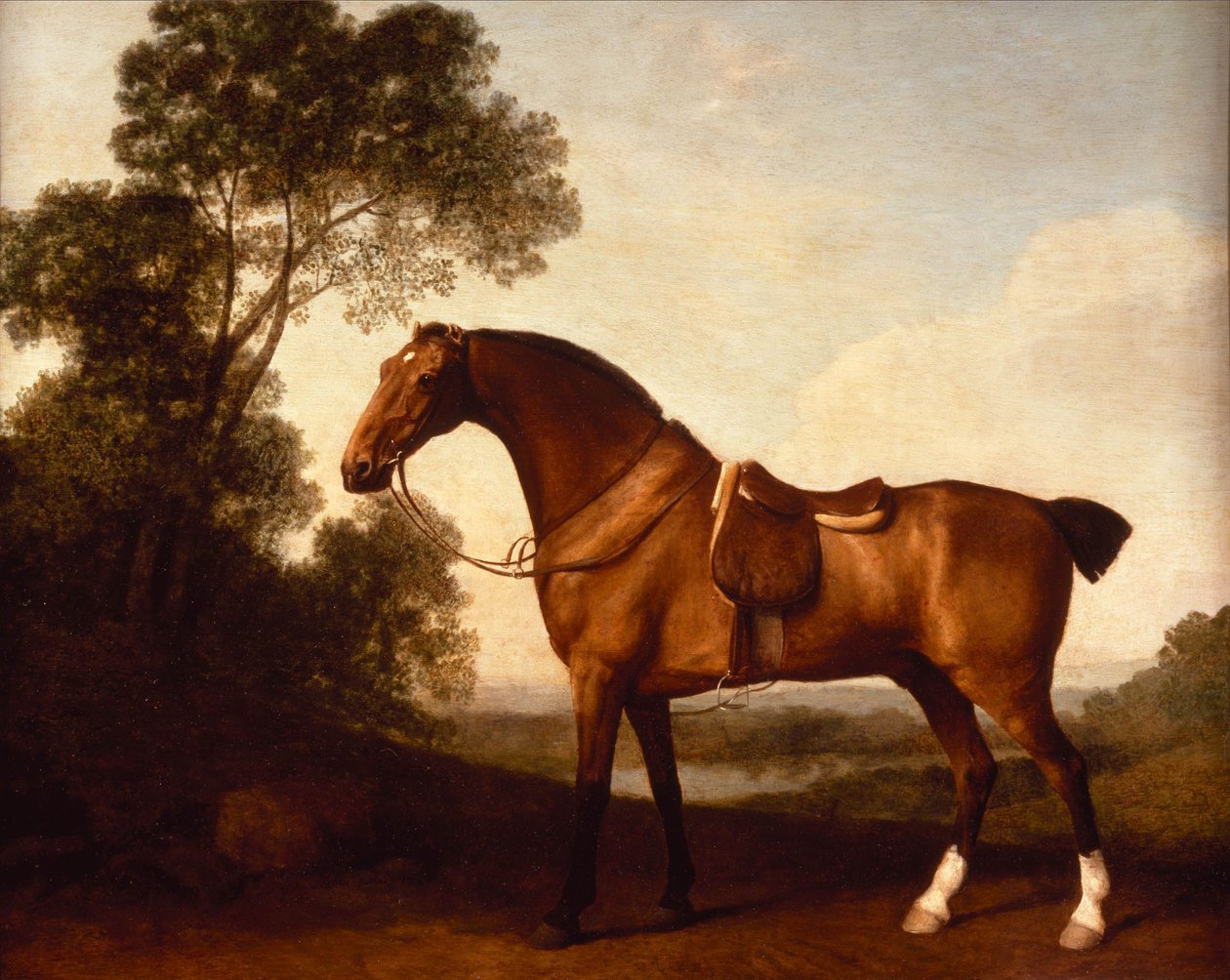 En sadlad Bay Hunter av George Stubbs