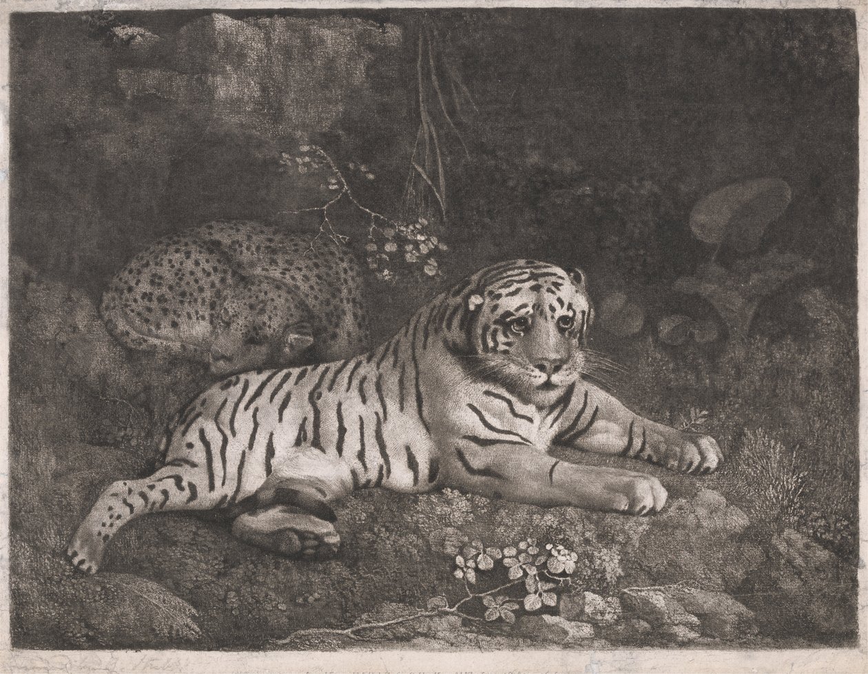 En tiger och en sovande leopard av George Stubbs