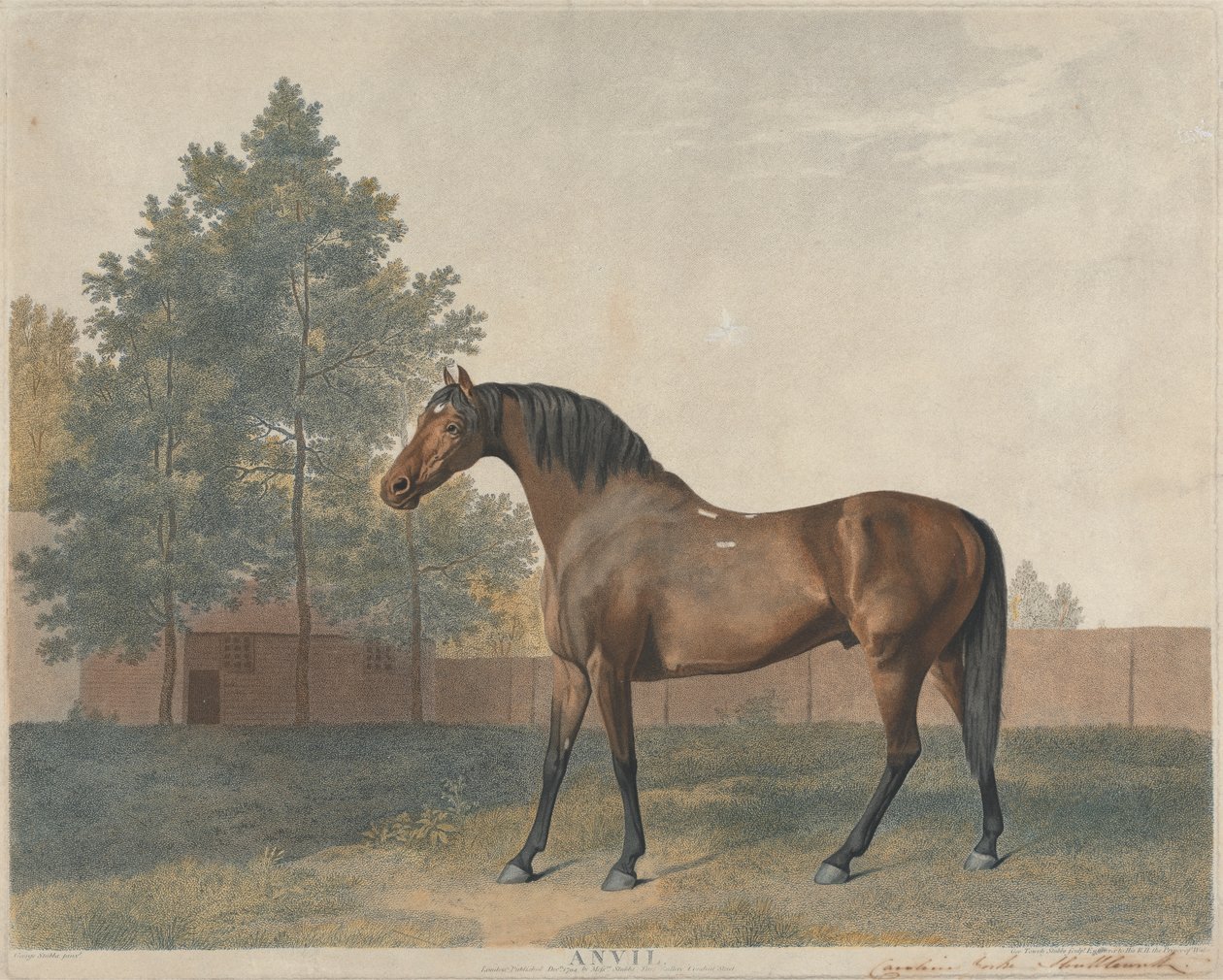 "Städ" av George Stubbs