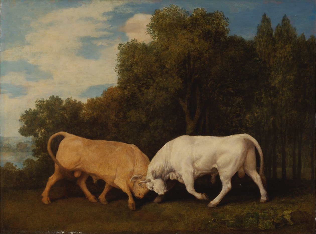 Tjurar som slåss av George Stubbs