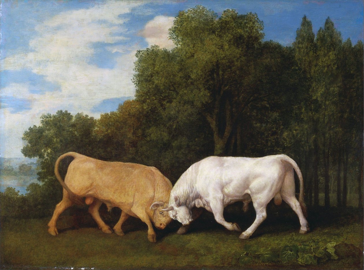 Tjurar som slåss av George Stubbs
