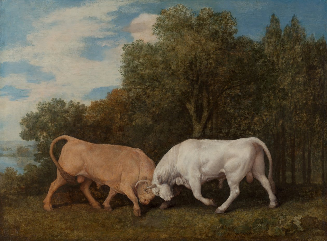 Tjurfäktning, 1786. av George Stubbs