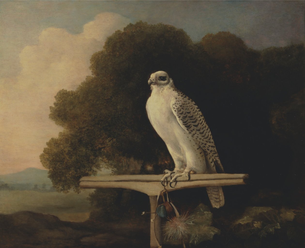 Grönlandsfalk av George Stubbs