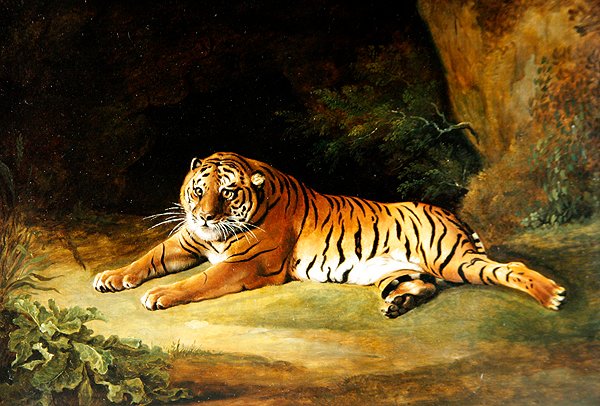 Tiger (olja på duk) av George Stubbs