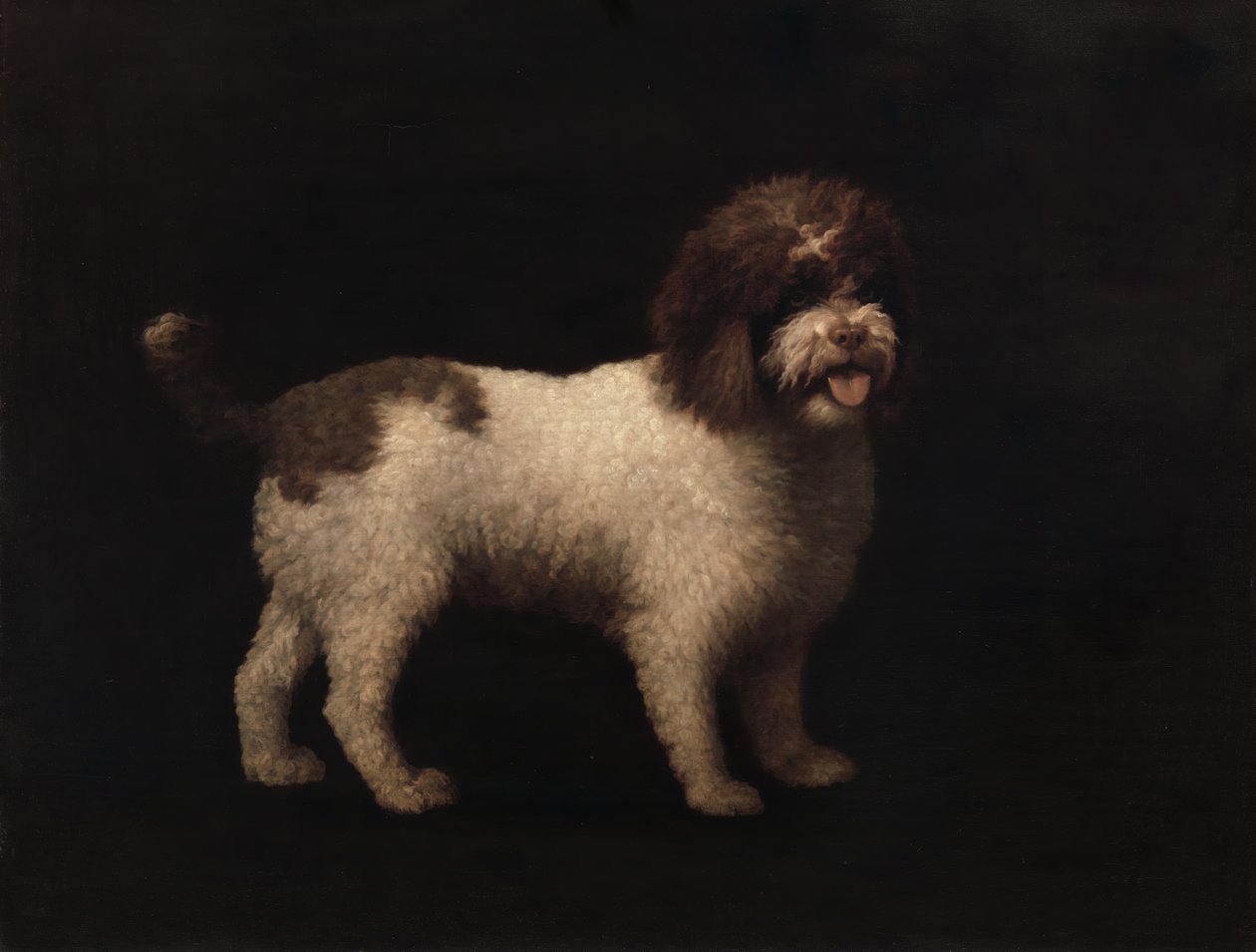 Vattenspaniel, 1769. av George Stubbs