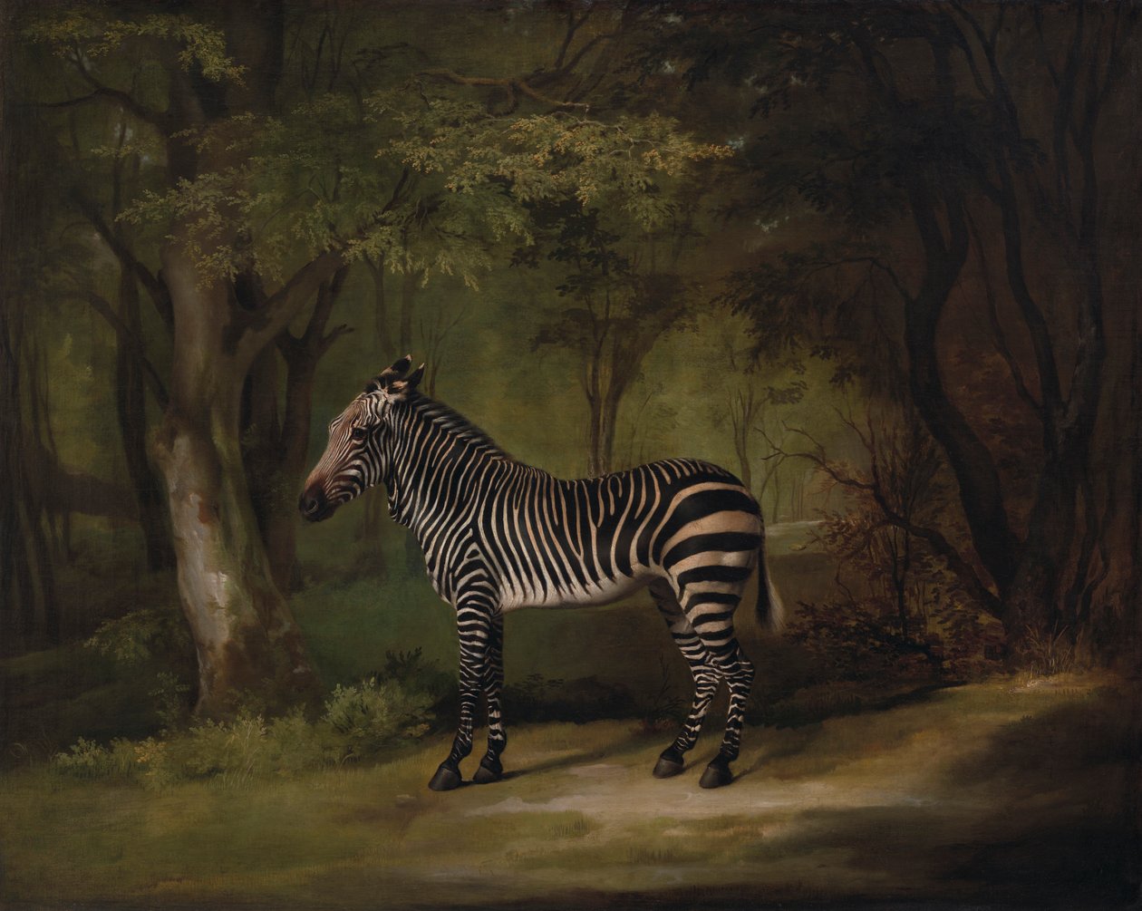 Zebra av George Stubbs