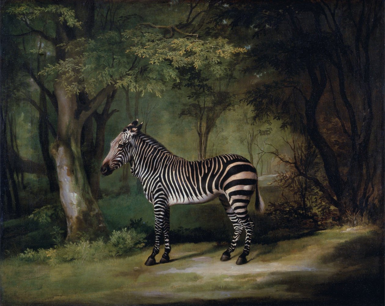 Zebra av George Stubbs