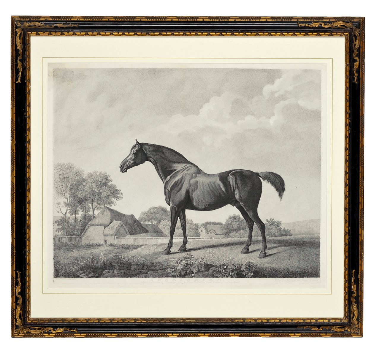 Sweetbrier (stippgravyr) av George Townley Stubbs