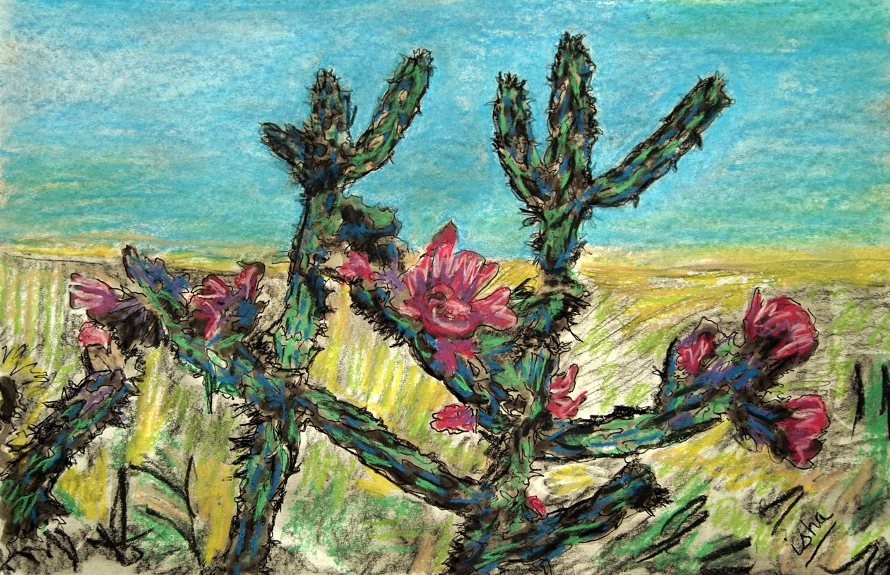 Cholla in Bloom, 2017 (teckning på papper) av Gerhardt Isringhaus