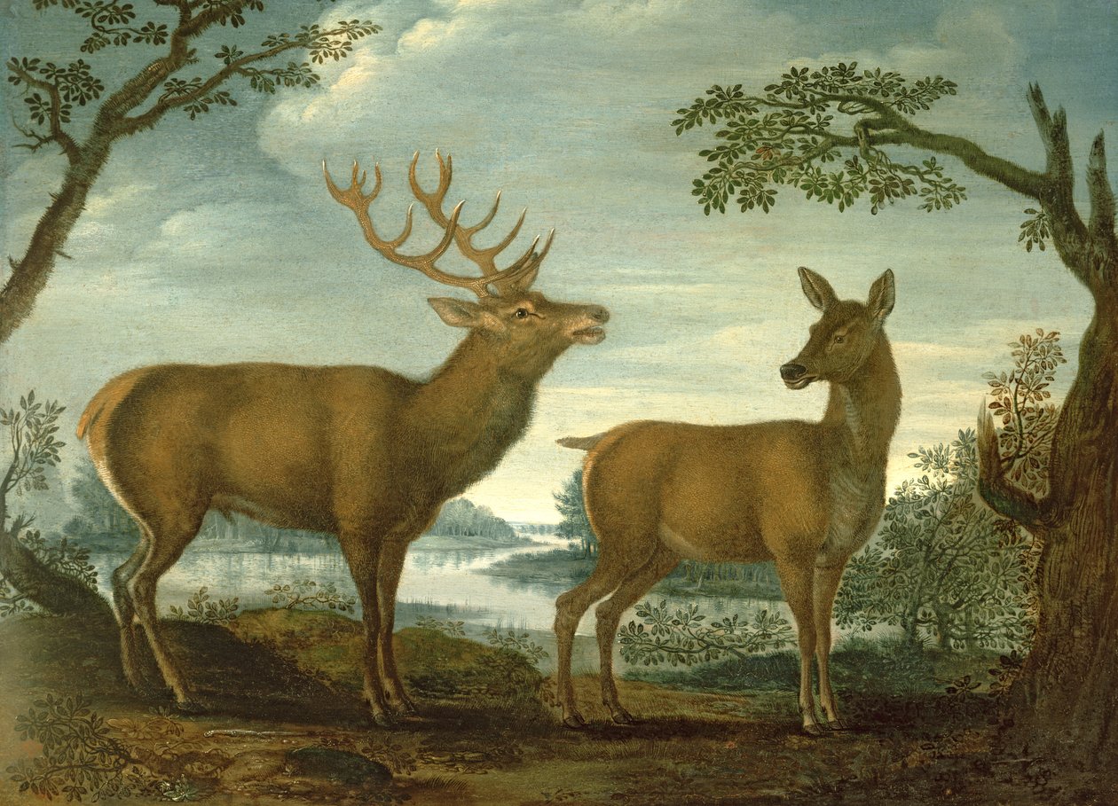 Hjort och hind i ett skogslandskap (panel) av German School