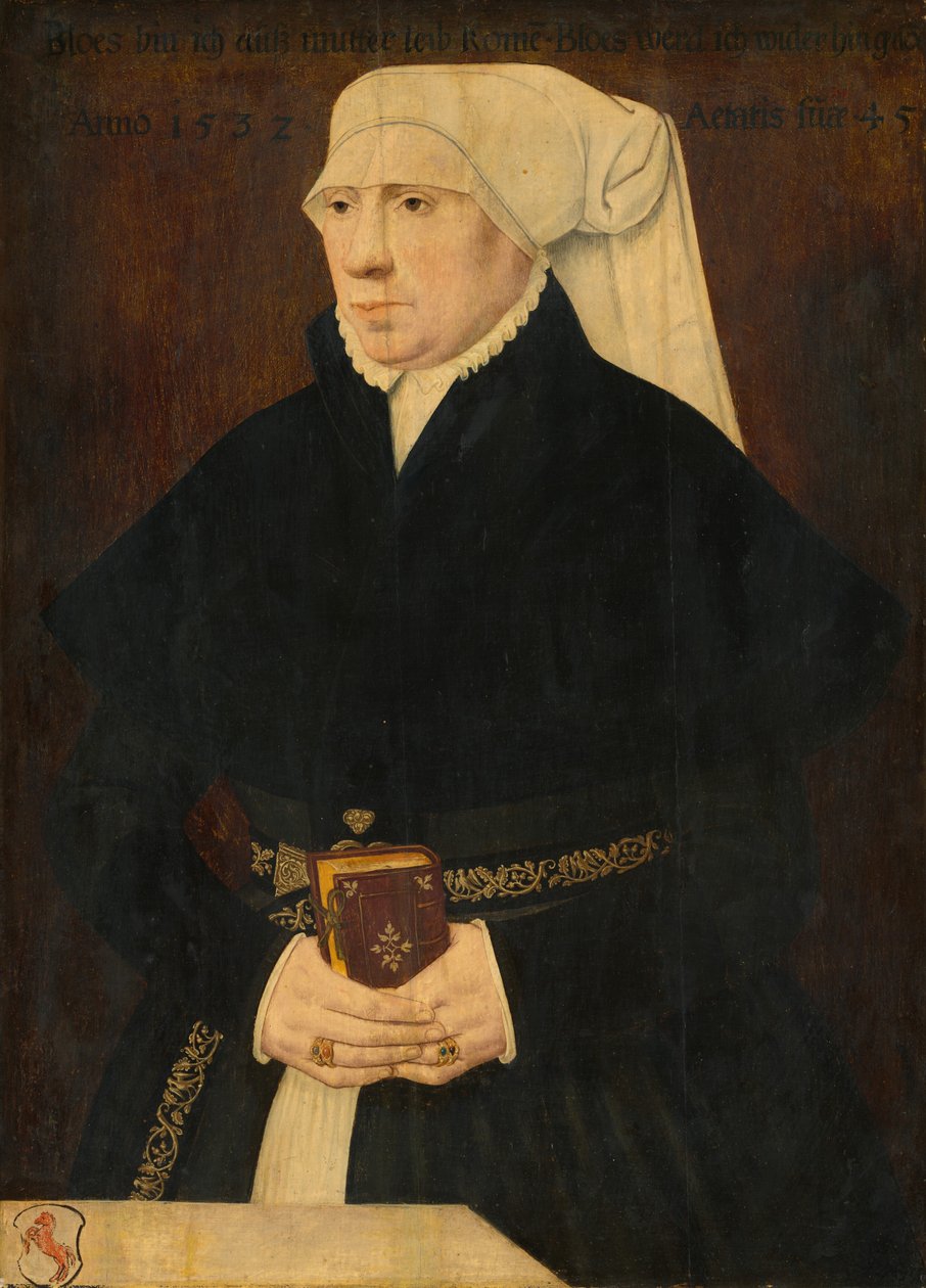 Porträtt av en dam av German 16th Century