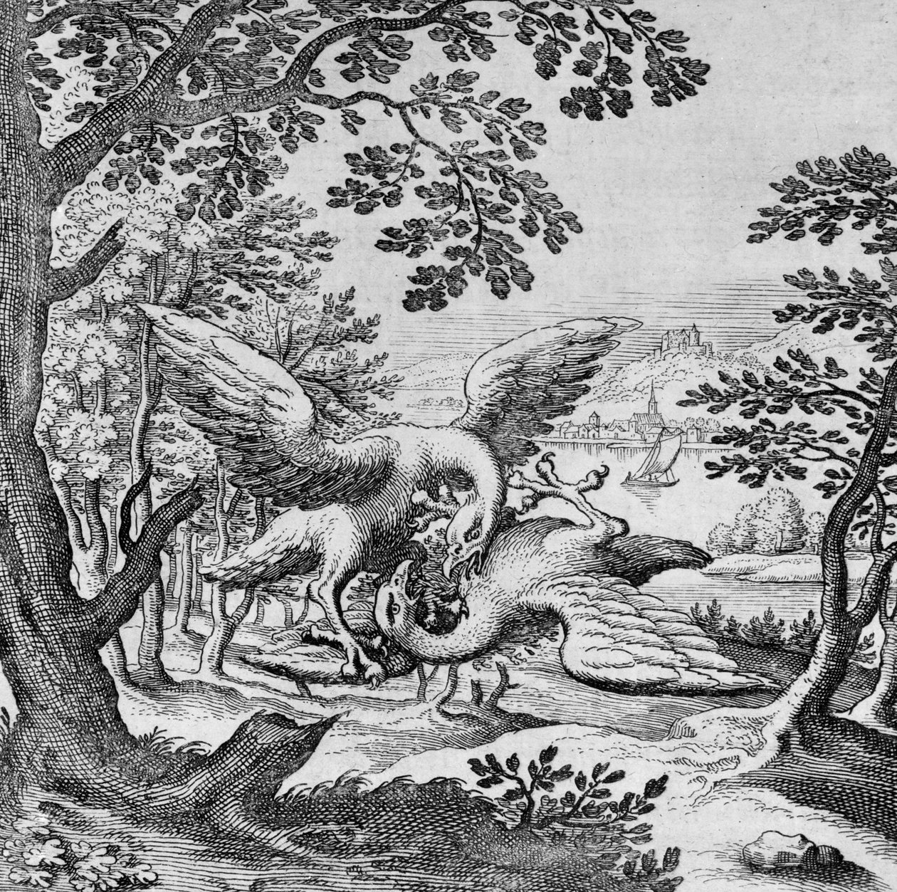 Fåglar som slåss från Musaeum Hermeticum av German School