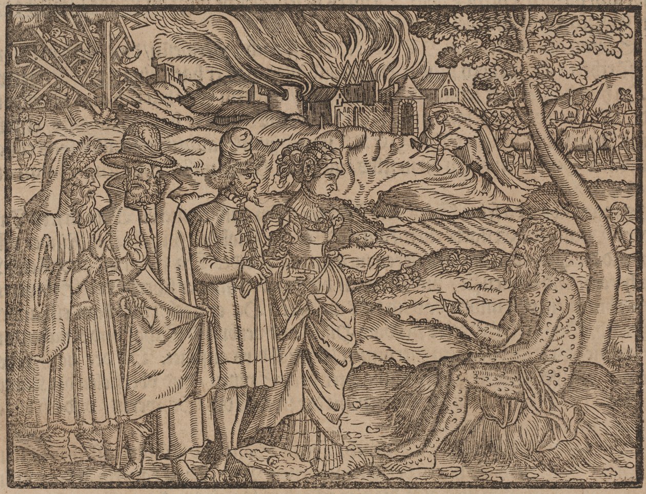 Job täckt med bölder c.1525 (träsnitt) av German School