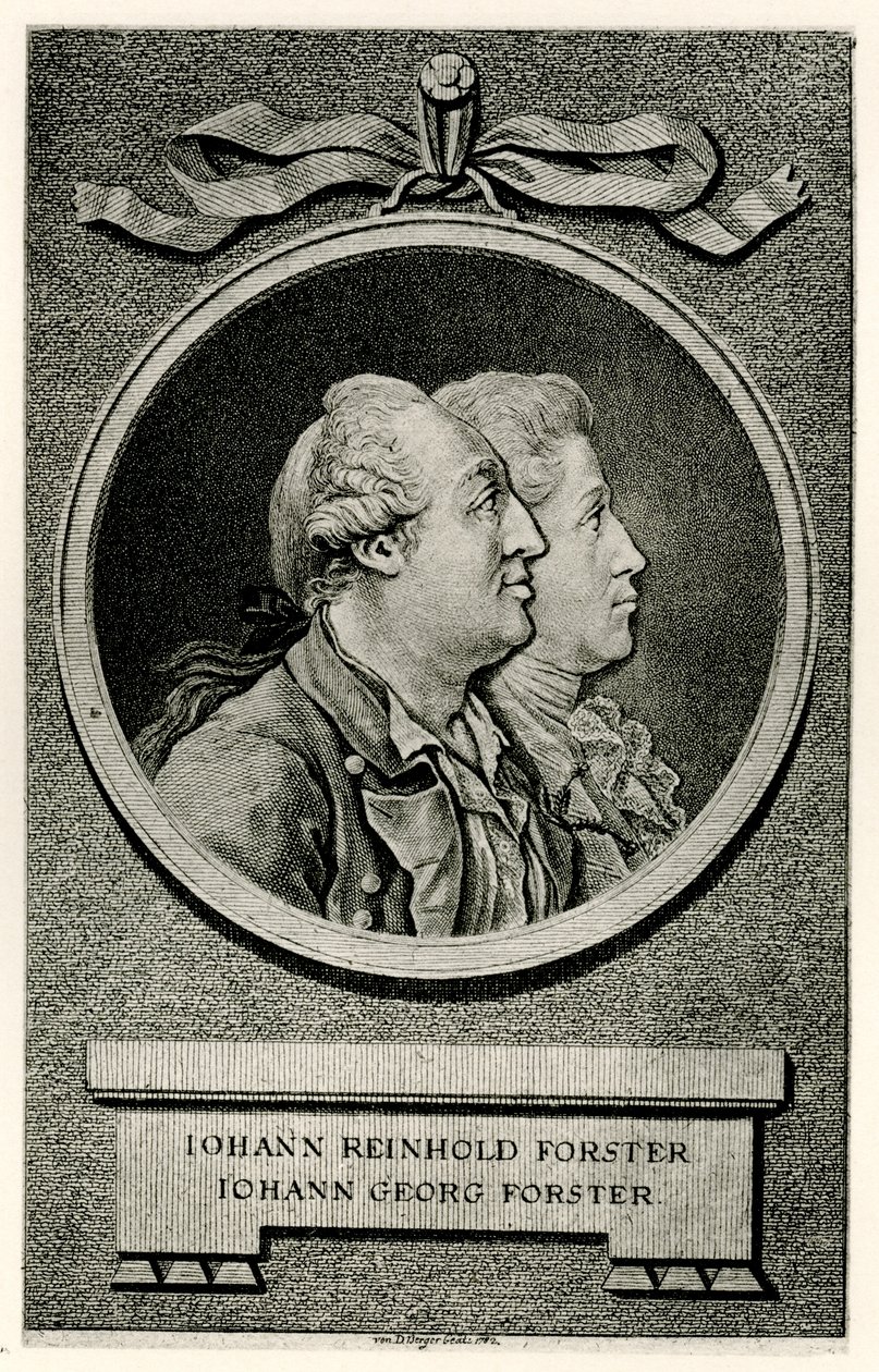 Johann Georg Forster av German School