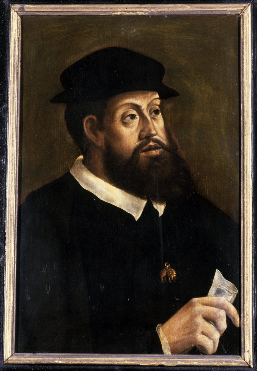 Kung Karl V, 1501-1600 av German School