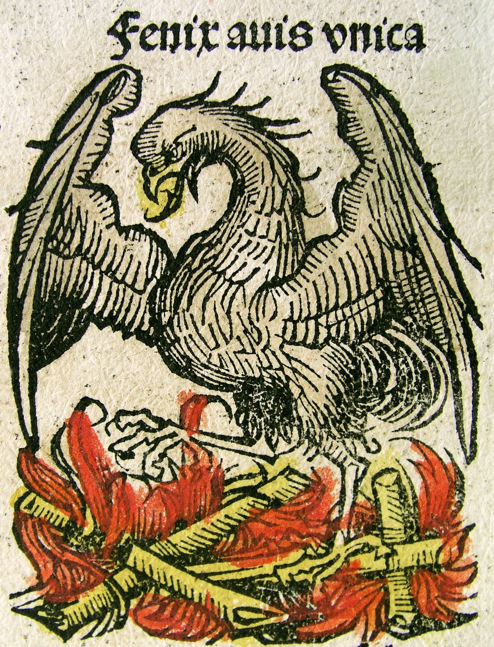 Phoenix publicerad i Nuremberg Chronicle, 1493 av German School