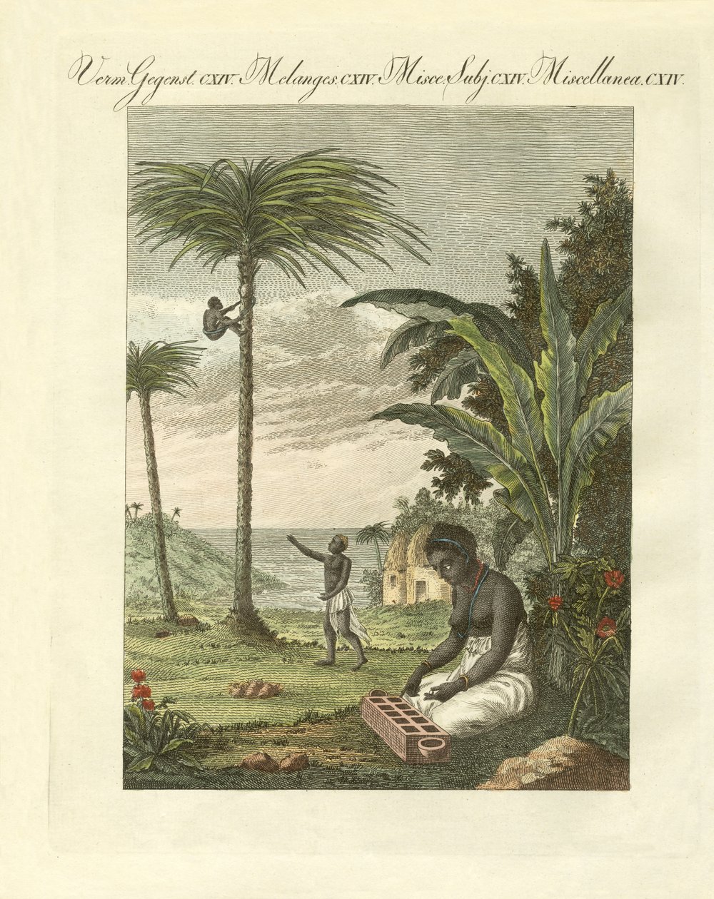 Scener från Afrika (färgad gravyr) av German School