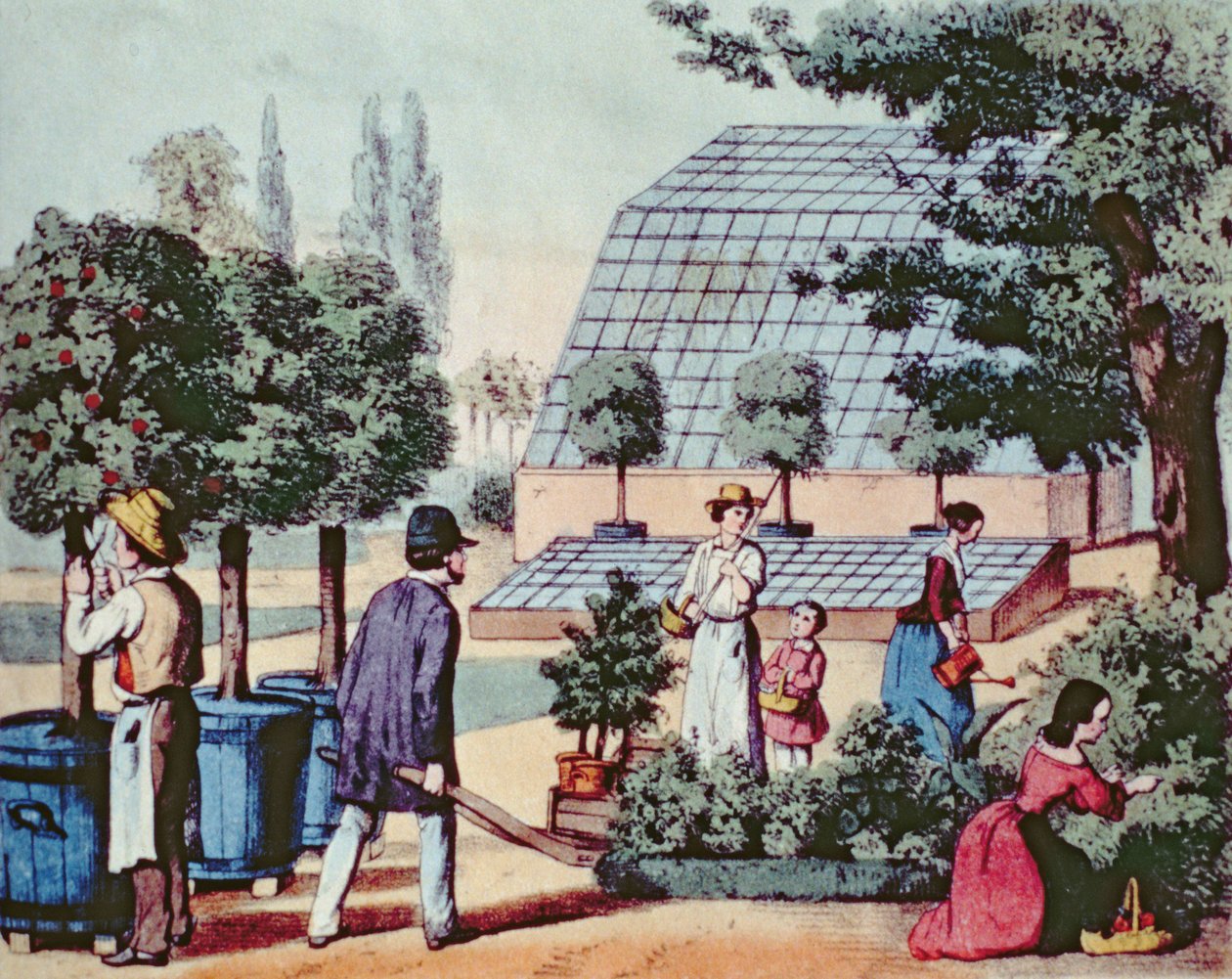 Tending the Garden, c.1860 (färggravyr) av German School