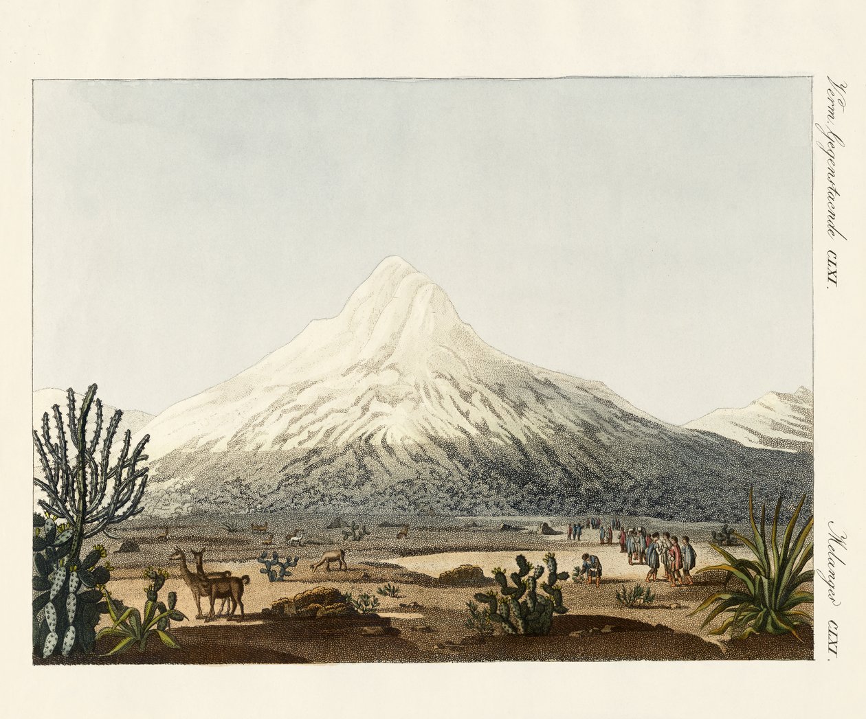Chimborazo i Sydamerika av German School
