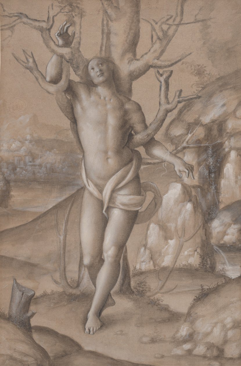 Saint Sebastian, ca. 1524. av Gerolamo Giovenone
