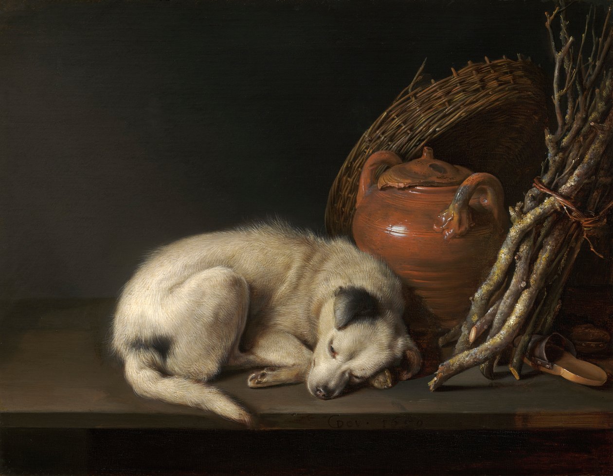 En sovande hund av Gerrit Dou