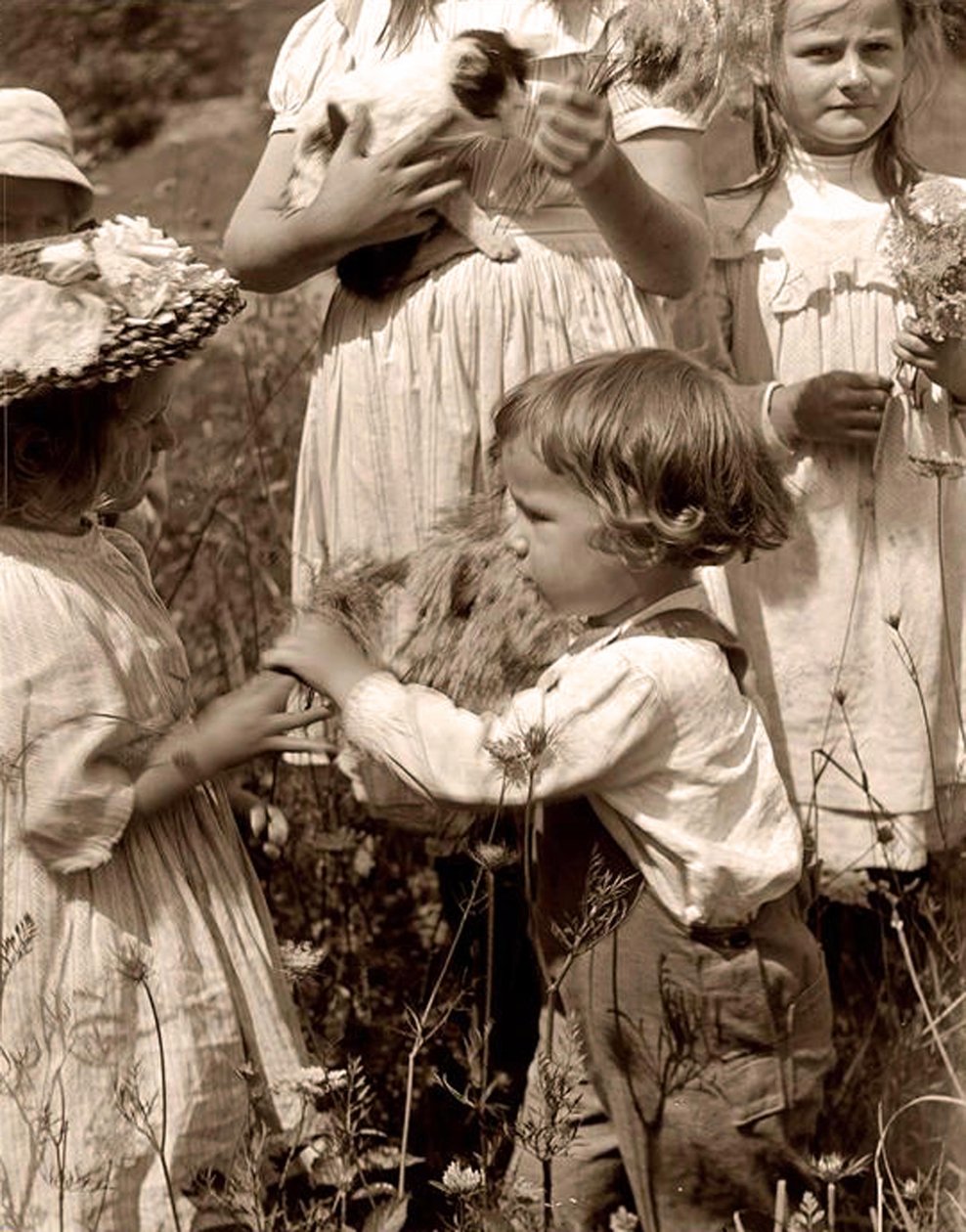 Lyckliga dagar 1902 Gertrude Kasebier (1852-1934). av Gertrude Käsebier