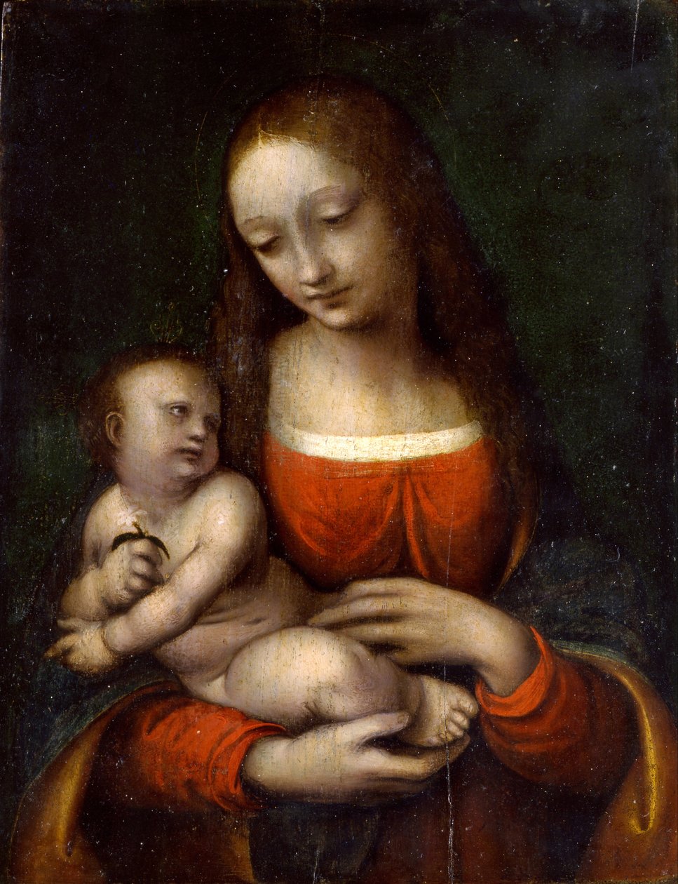 Jungfru och barn, 1510-1515 av Giampietrino