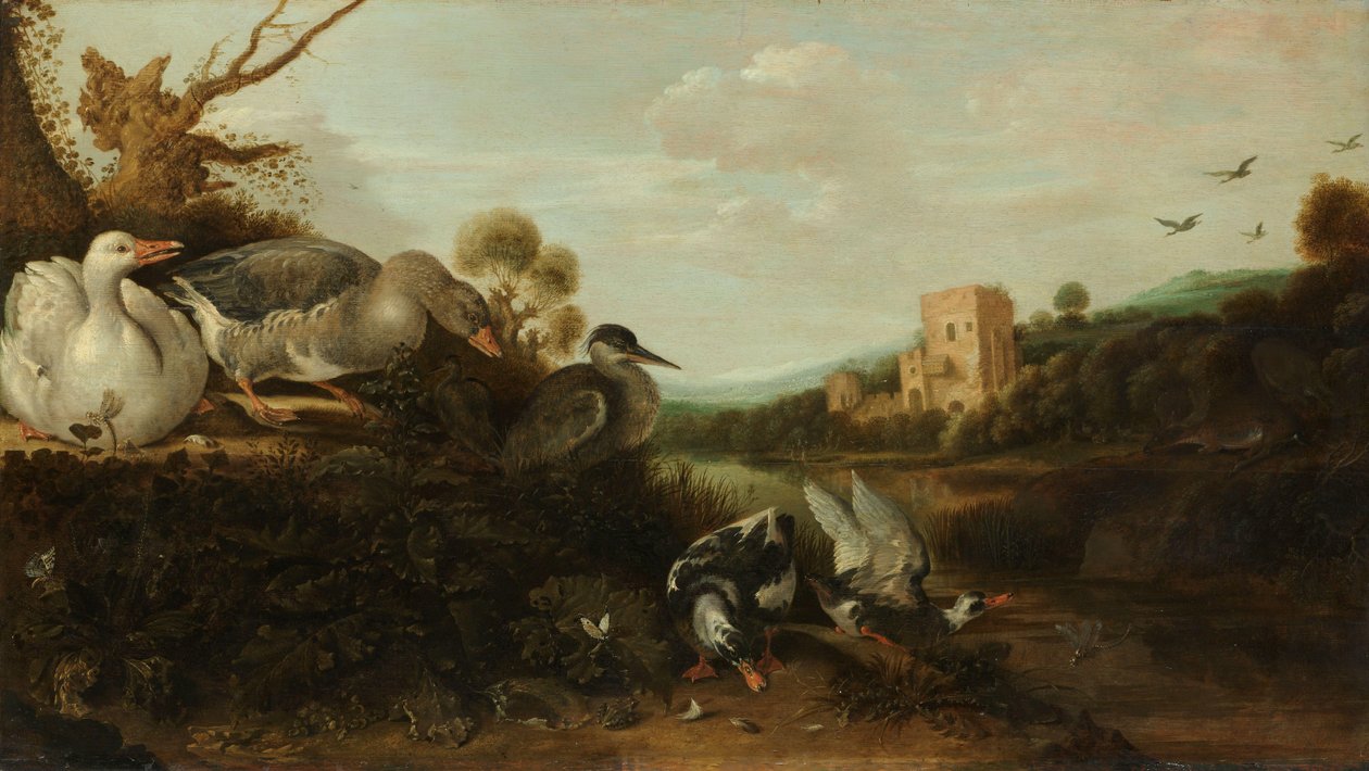 Sjöfågel av Gijsbert Gillisz de Hondecoeter