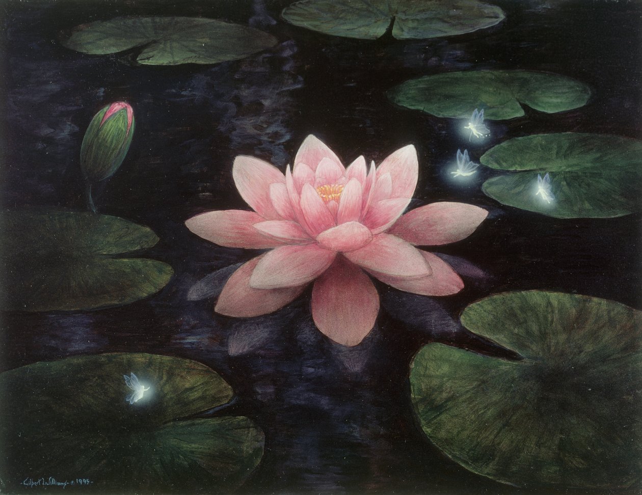 Lotus sprites av Gilbert Williams