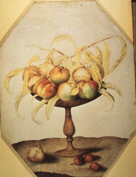 Skål med persikor (tempera på veläng) av Giovanna Garzoni