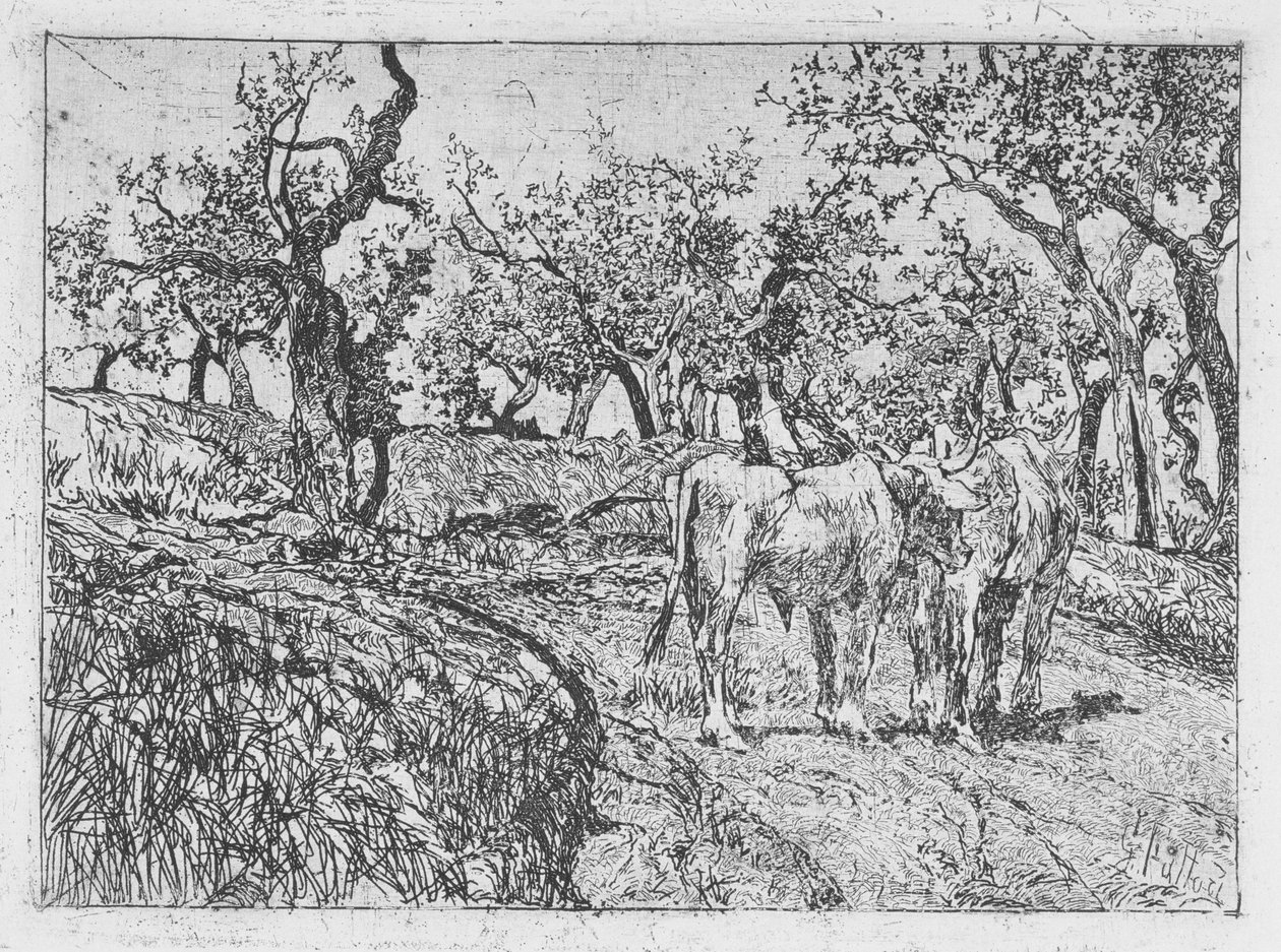 Boskap bland olivträd av Giovanni Fattori