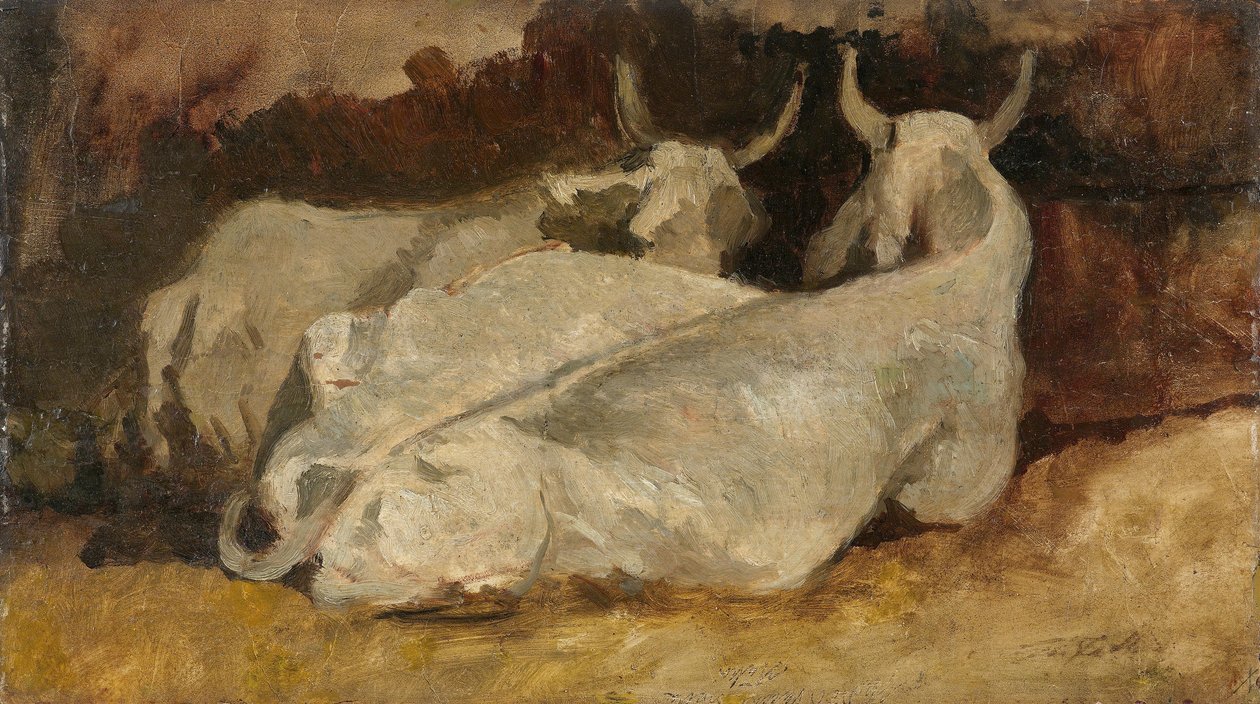 Liggande kor av Giovanni Fattori