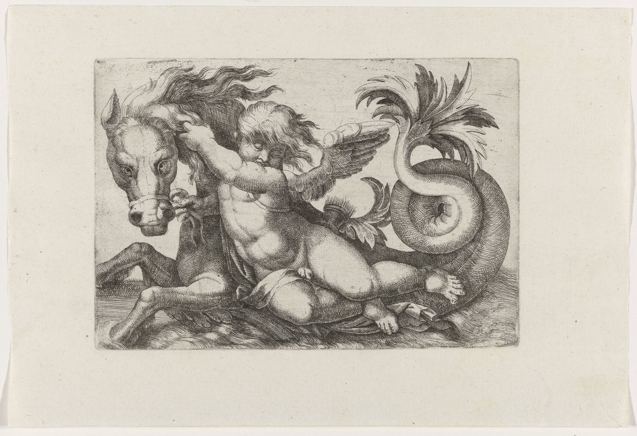Putto rider på sjöhäst av Giovanni Andrea Maglioli
