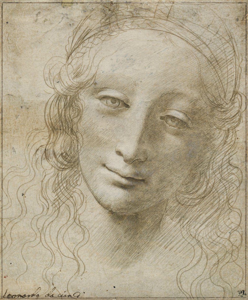 Chef för en kvinna av Giovanni Antonio Boltraffio