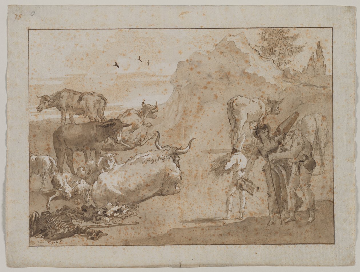 Får och kor, 1790-talet. av Giovanni Domenico Tiepolo