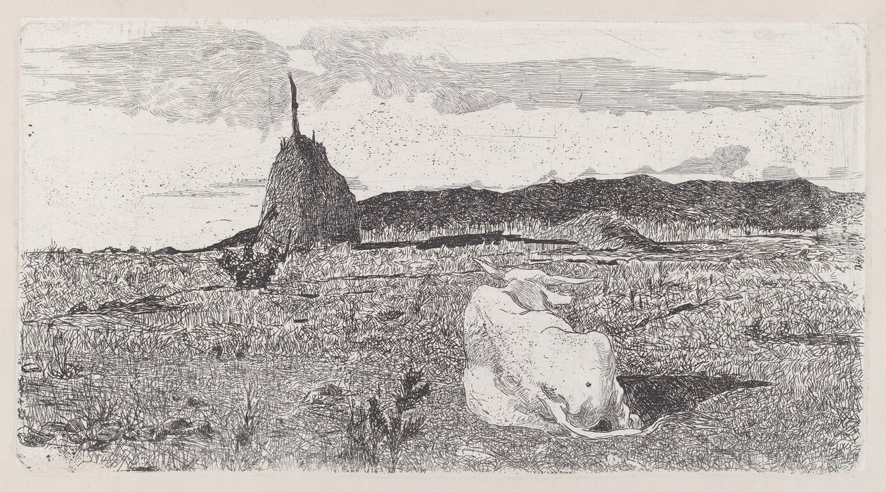 Heliga ko [Pio bove] av Giovanni Fattori