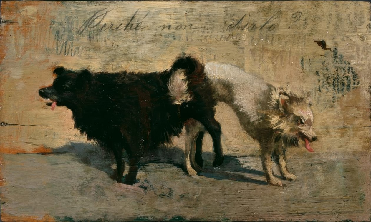 Varför inte säga det? av Giovanni Fattori