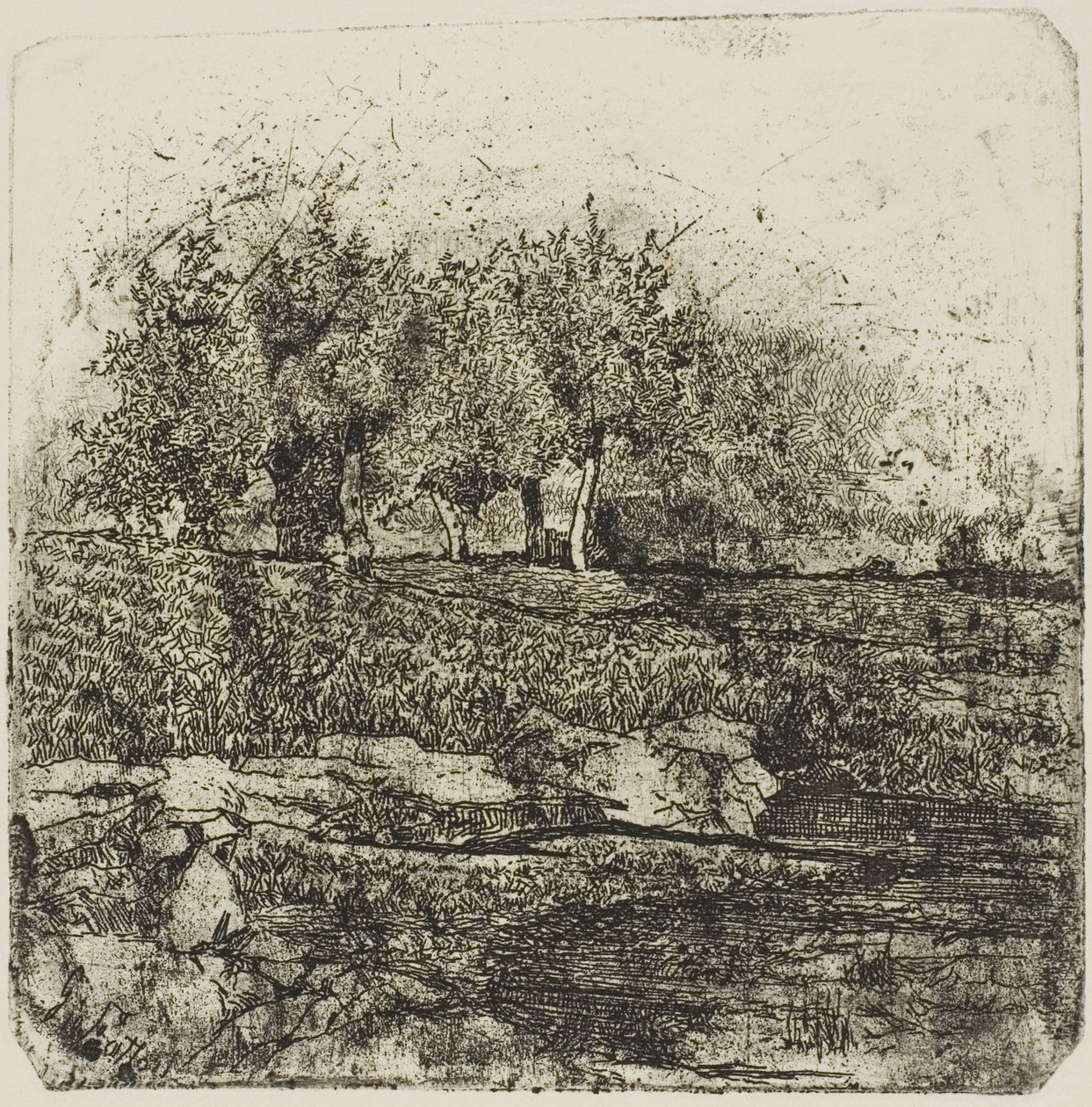 Träd på en äng av Giovanni Fattori