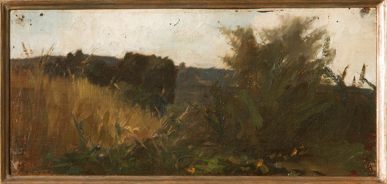 Studie av vegetation (oljepanelmålning) av Giovanni Muzzioli