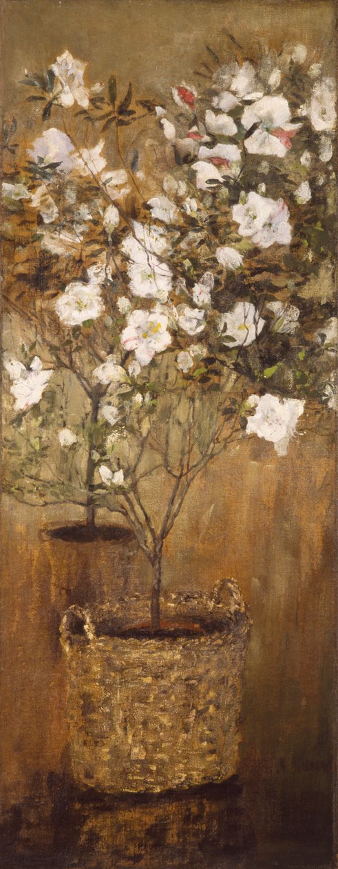 Krukor med azaleor av Giovanni Segantini