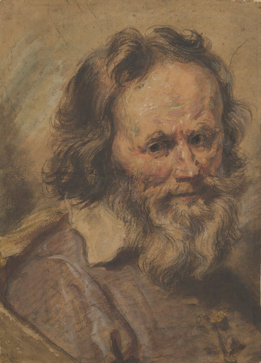 Chef för en skäggig man, 1600-1630. av Giovanni Serodine
