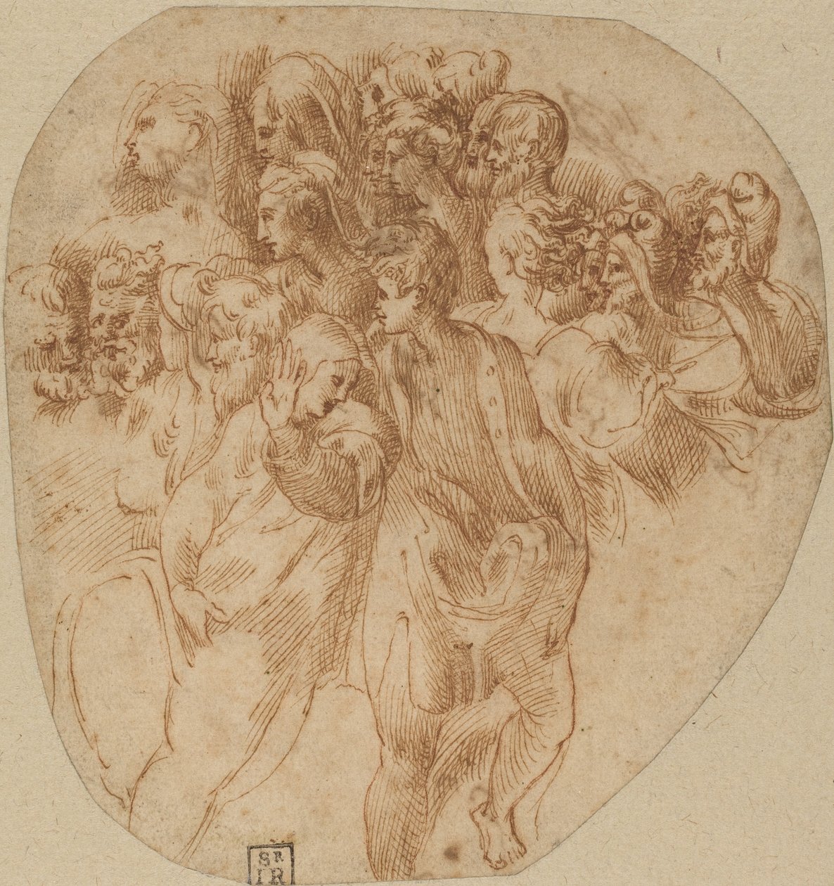 Figurstudier [recto] av Girolamo Mazzola Bedoli