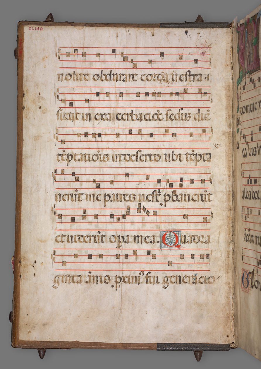 Gradvis, c. 1520. av Girolamo dai Libri