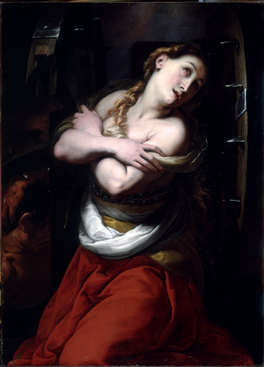 St. Catherine (oil on linen) av Giulio Cesare Procaccini