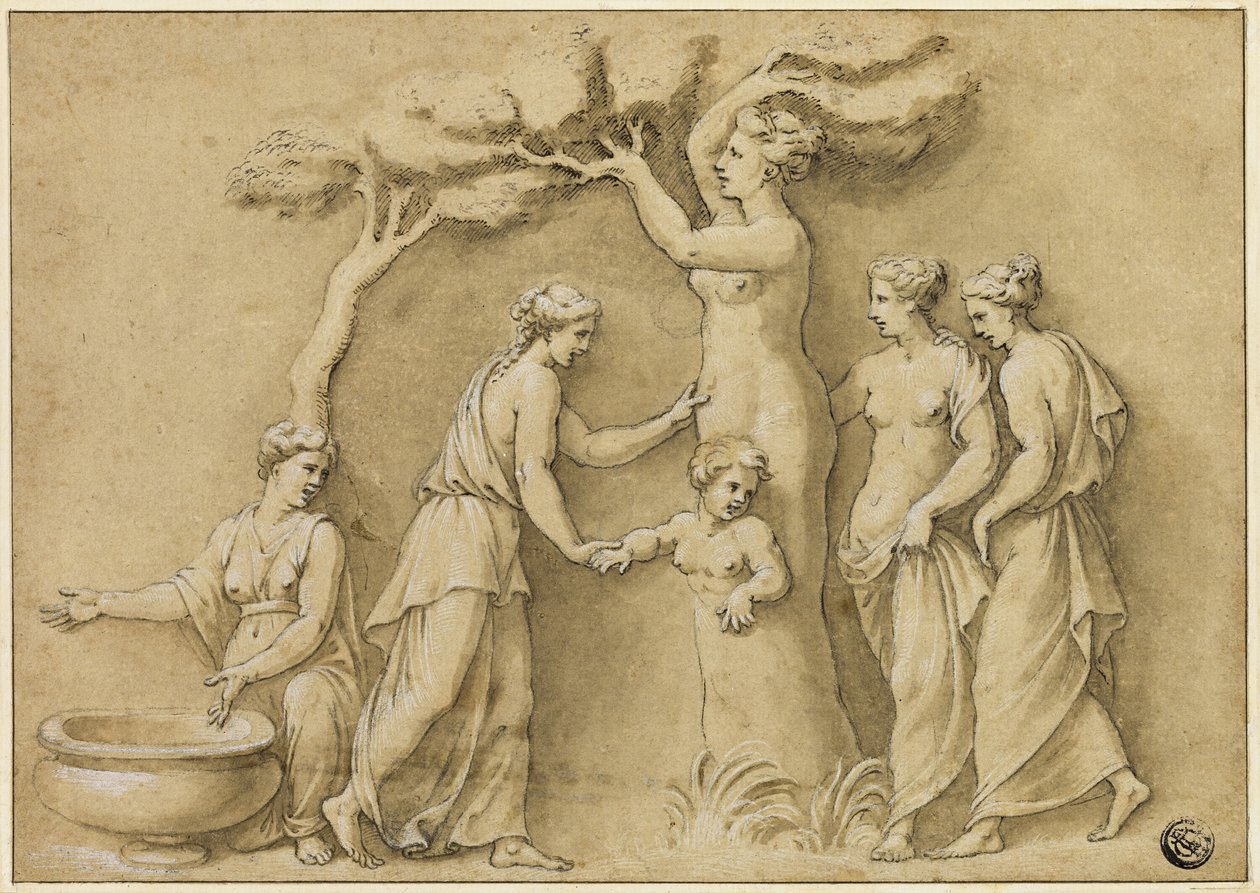 Adonis födelse av Giulio Romano
