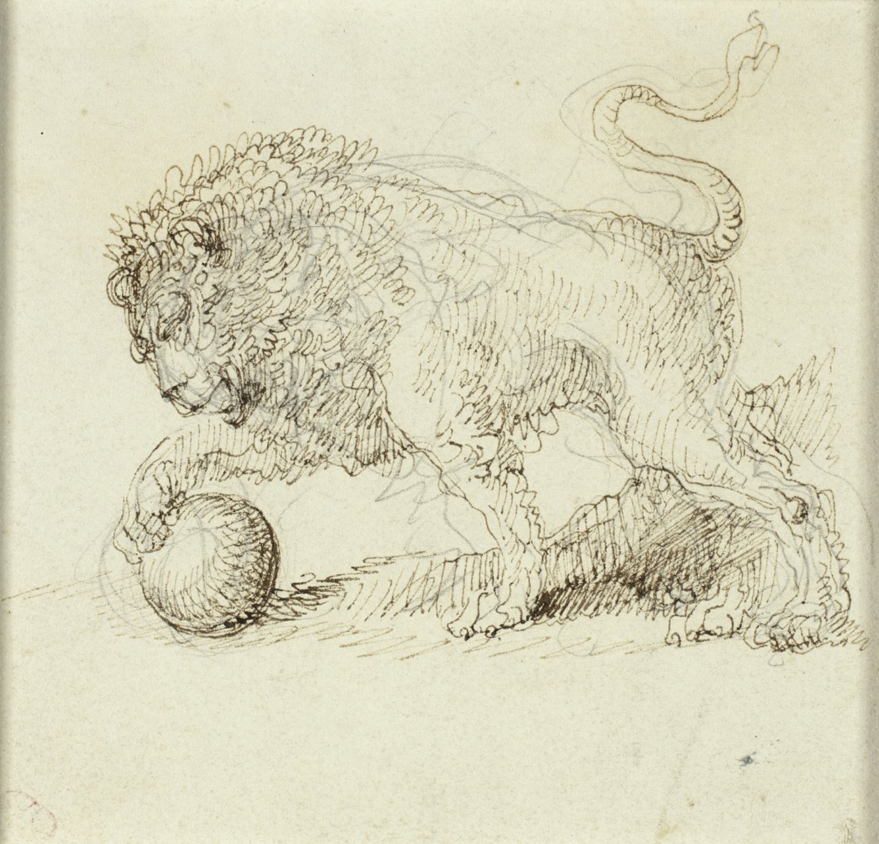 Lejon med boll av Giuseppe Bernardino Bison