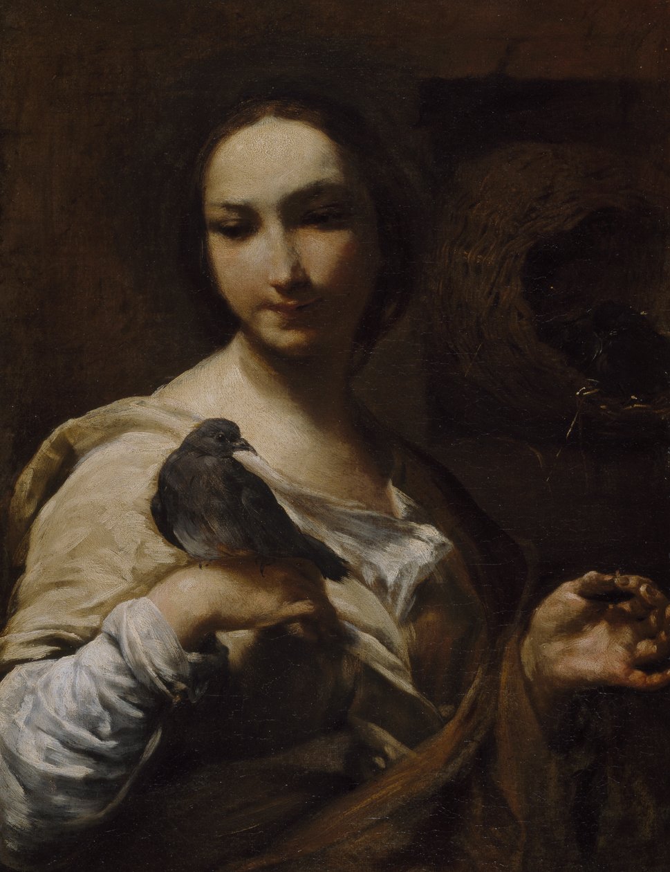 Flicka som håller en duva, 1721-27 av Giuseppe Maria Crespi